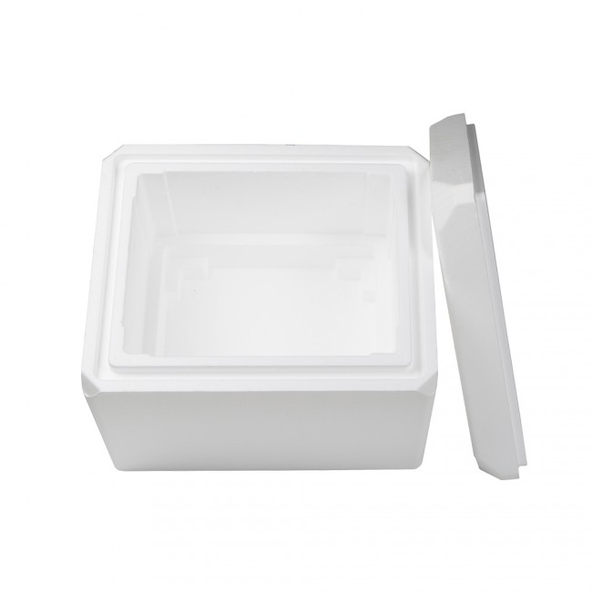 Cube Waterproof Insulated Box for Food 12L Plastic Ice Box Foam  Polyurethane Thermal Electric Cooler - China Portable Ice Box and Insulated  Ice Box price